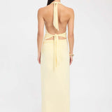 Robe Longue Dos Nu Décolleté Plongeant Élégance