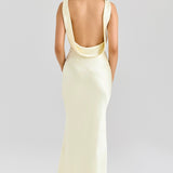 Robe Longue Satinée Dos Plongeant Élégance Glamour